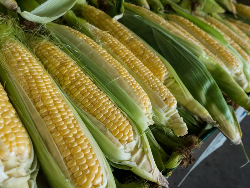Cajun Fried Corn