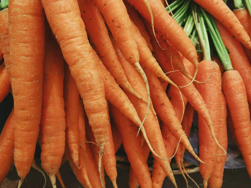 Veggie Sticks